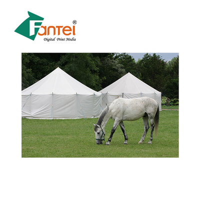 imperméable ignifuge de tissu de bâche du polyester 650gsm adapté aux besoins du client